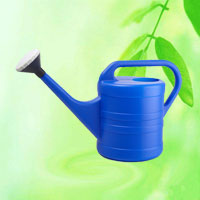 China Long Spout Outdoor Garden Watering Can With Rose Sprayer HT3009 China factory manufacturer supplier