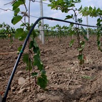 China Vineyard Drip Irrigation System HT1119 China factory manufacturer supplier