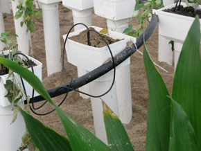 China Arrow Drip Irrigation Kit HT1118 China factory supplier manufacturer