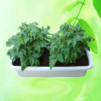 China Plastic Garden Flower Window Pot HT5070 China factory manufacturer supplier