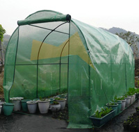 China  Tunnel Walk-in Garden Greenhouse HT5113 China factory manufacturer supplier