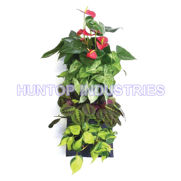 China 4 Pocket Vertical Wall Garden Hanging Planter HT5092A China factory supplier manufacturer