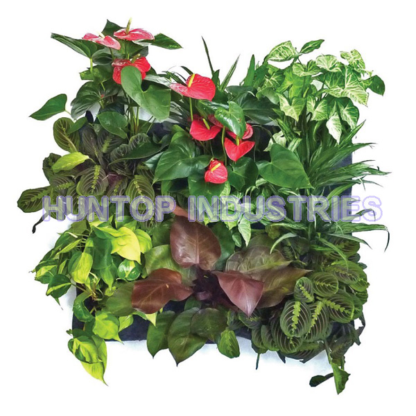 China 6 Pocket Hanging Wall Planter HT5095 China factory supplier manufacturer