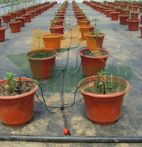 China Automatic Drip Arrow Irrigation System HT1117