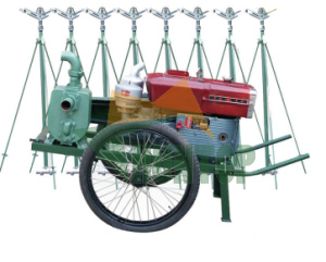 China Agriculture Self-propelled Moving Irrigation System HT7046