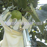 China Fruit Picker Gardening Tool HT5805A