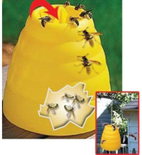 China Yellow Hanging Beehive Wasp Trap HT4604 China factory manufacturer supplier
