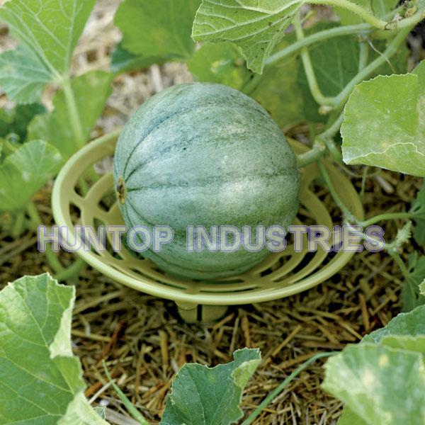 China Melon Squash Cradles Support HT5628E China factory supplier manufacturer