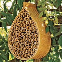 Bamboo Mason Bee Habitat HT5182A