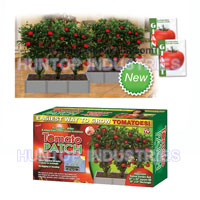 China Tomato Patch HT4465A