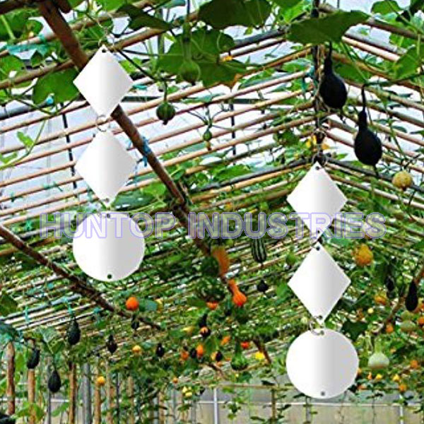 China Bird Deterrent Dual Sided Reflective Bird Repellent Discs HT5161E China factory supplier manufacturer