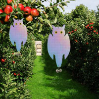 China Decoy Scare Birds Holographic Reflective Owls HT5158A China factory manufacturer supplier