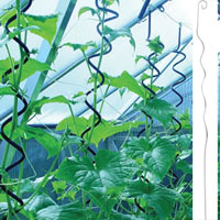 China Tomato Spiral Plant Support HT5107 China factory manufacturer supplier