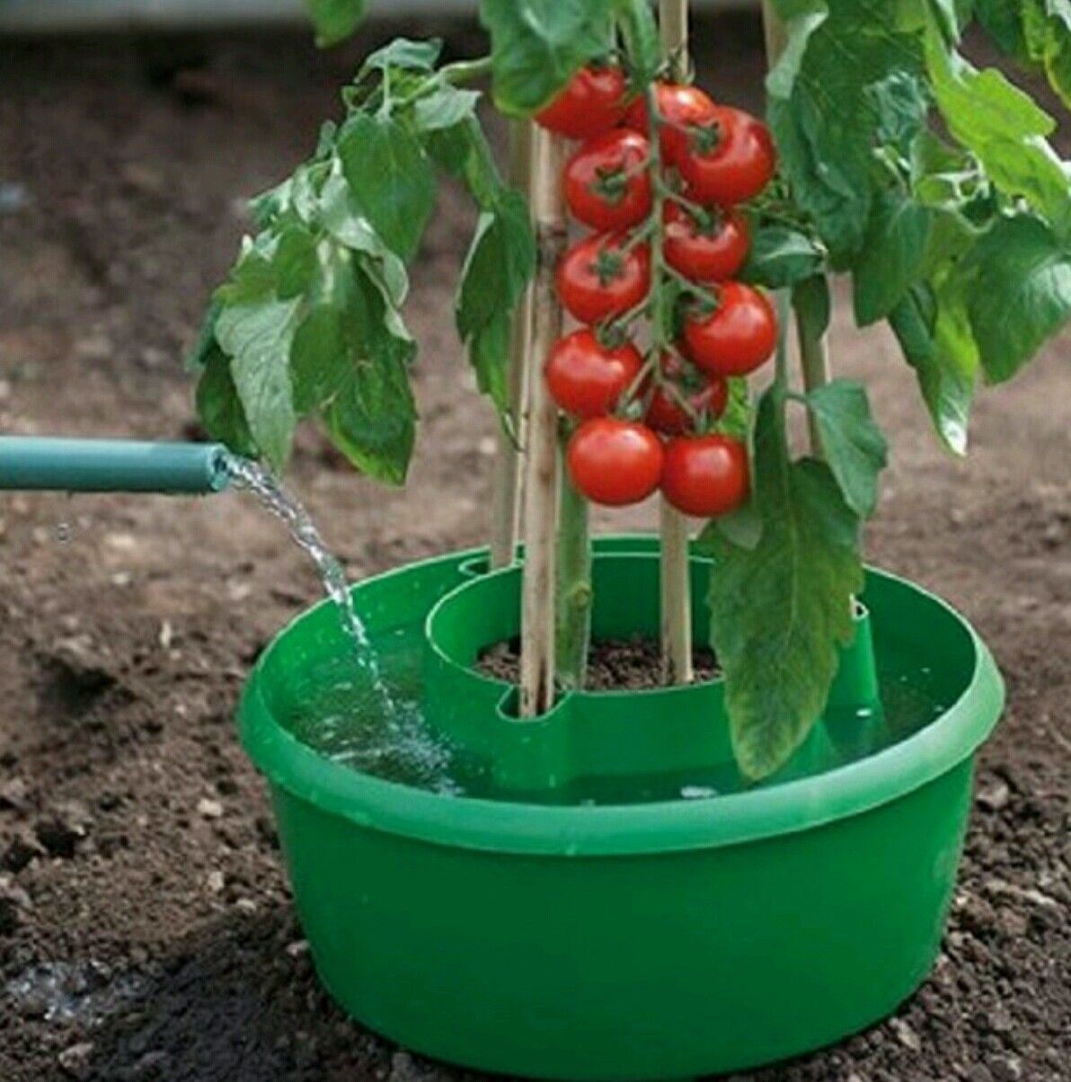 China Plant Halos Tomato GrowPot With Supporter & Slow Watering 8pc pack China factory supplier manufacturer
