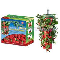 China Upside Down Strawberry Fruit Planter HT5704 China factory manufacturer supplier