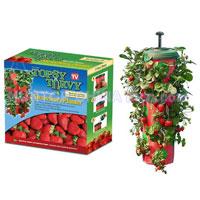 China Upside Down Strawberry Fruit Planter HT5704