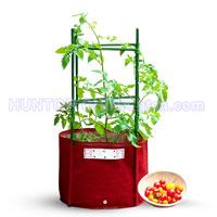 China Bloombagz Big Tomato Planter Box HT5087 China factory manufacturer supplier