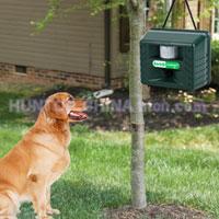 China Dog Bark Silencer and Animal Pest Repeller with Remote Control ht5338