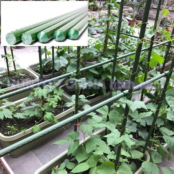 China Plant Stakes Garden Climbing Plants Bracket Support HT5108 China factory supplier manufacturer