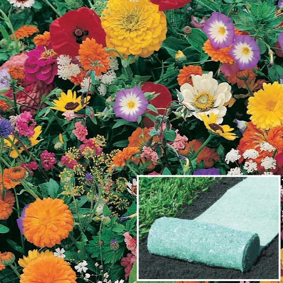 China Flower Seed Mat Roll Out Seed Mat Grass Seed Mat Flower seed rolls HT5110 China factory supplier manufacturer