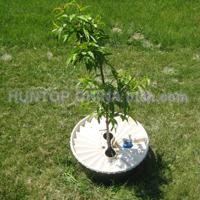 China Automatic Self Watering Planter Irrigation System HT5723A China factory manufacturer supplier