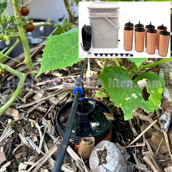 best Automatic Olla Cup Garden Watering System Kit HT1145 China factory supplier manufacturer