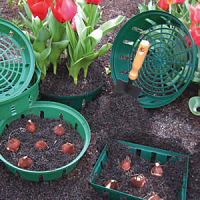 onion bulb basket planter China