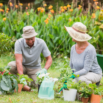 gardening tips gardening basics