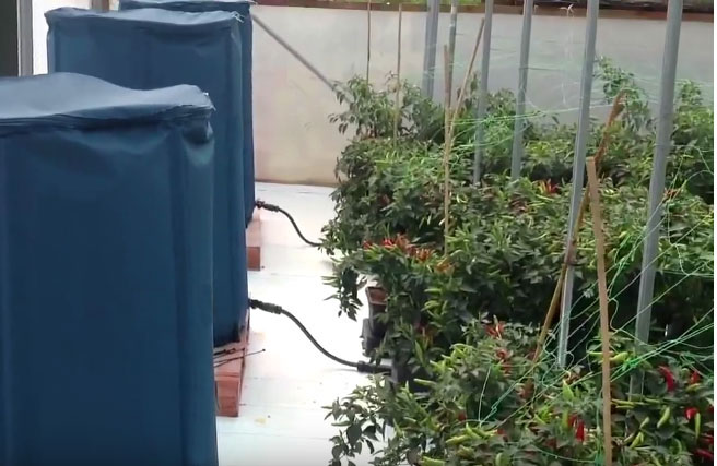 Flexi Tank Collapsible Fold Up Flexible Water Storage Garden Barrel Hydroponics 