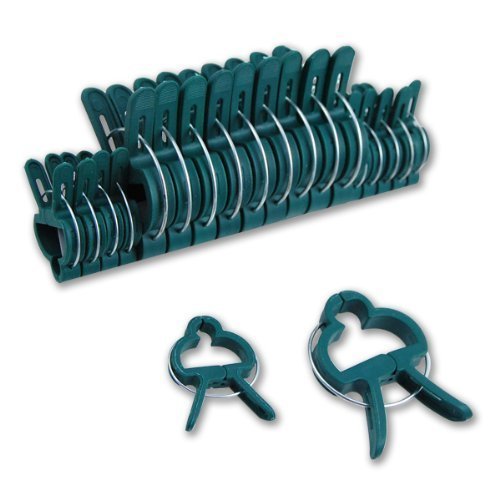 Garden Blant Clip Manufactor-supplier