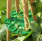 plant cane cap support