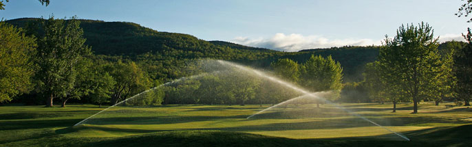 lawn sprinklers
