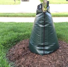 tree watering bag